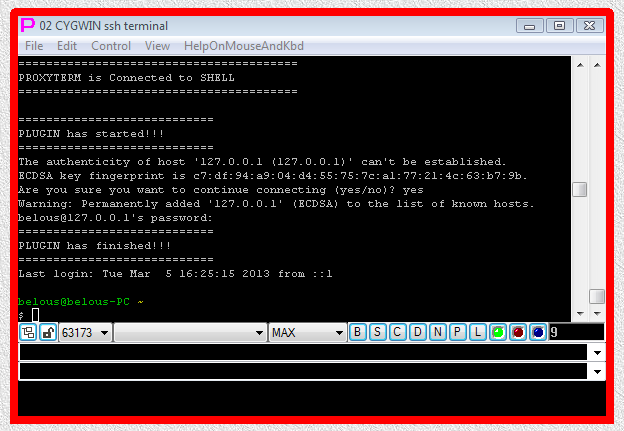 _images/Terminal-Launchers-Examples-SHELL-TERMINAL-ssh-AUTOLOGIN-completed-5.png