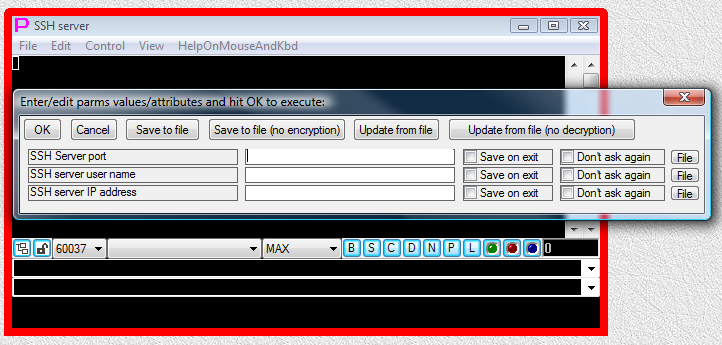 _images/Terminal-Launchers-Examples-SHELL-TERMINAL-ssh-parametrized-empty-2.png